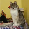 Отзыв от Зоя Толкачева